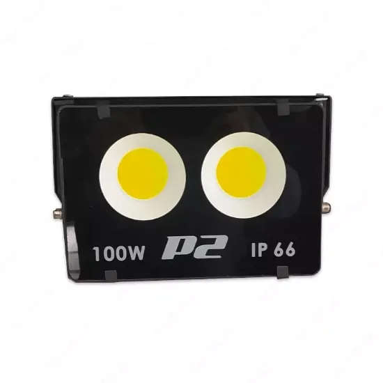Прожектор LED PRIME P2 MY 100W (6000K) - мощный светодиодный прожектор rasm