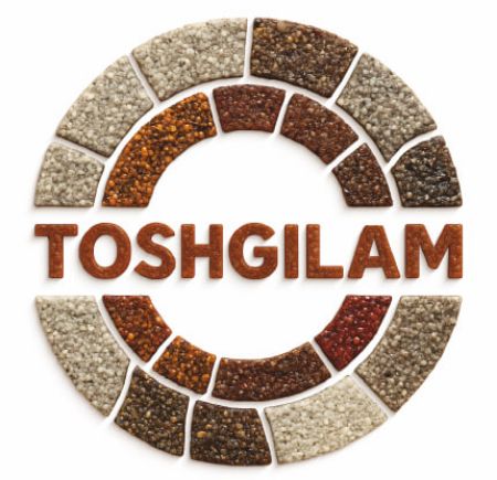 Picture for vendor Toshgilam