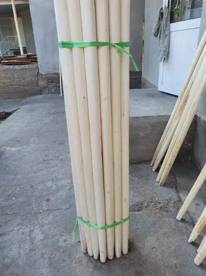 Picture of Sop dasta tol ketmon lapatka