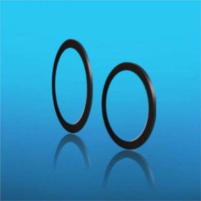 Резинка для Ревизии диам 100 rasm