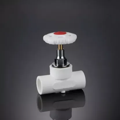 WaterPro PP-R Uzaytirilgan Milga ega Sharikli Kranda – 25mm (60) rasm