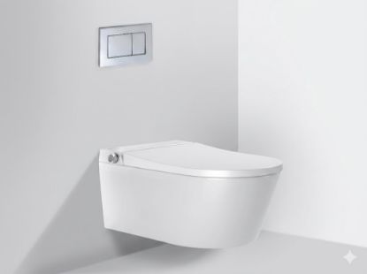 Picture of Настенный умный унитаз (Тип смыва: Тарнадо) в комплекте кнопка смыва (Silver) (WS1) WaterPro (1)