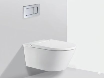 Picture of Круглый, подвесной унитаз без ободка c горизонтальным выпуском (WS2) WaterPro (1)