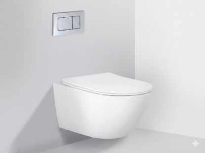 Picture of Подвесной унитаз с технологией смыва «Торнадо» (WR1) WaterPro (1)