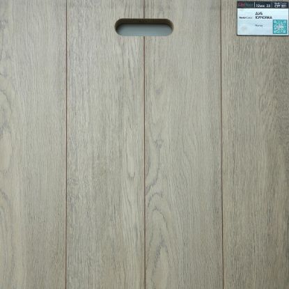 CFF 501   12*133*1261 rasm