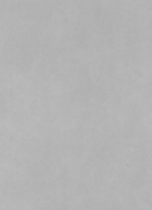 Linoleum N6378 (2mm*0,5mm) rasm