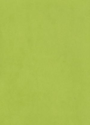Linoleum N 6363 (2mm*0,5mm) 50% rasm