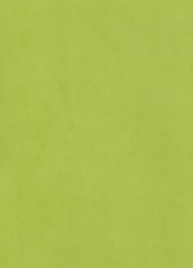 Picture of Linoleum N 6363 (2mm*0,5mm) 50%